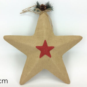 STAR WITH 16 LED  974794