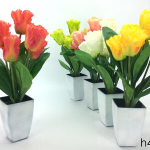 TULIPANO PLANT LARGE 922139