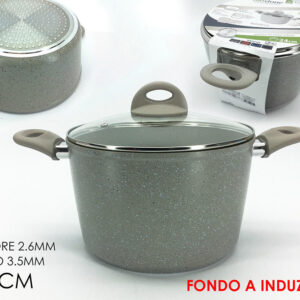 POT INDUCTION 24CMS 958640