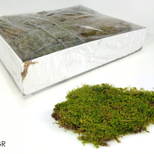 MOSS CARPET 35 GRM 016609