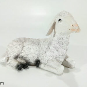 SHEEP 16 CMS 907532