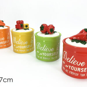 DECORATIVE JAR W/LID 4 ASS 065386