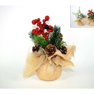XMAS PLANT 791406