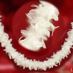 WITH FEATHER TINSEL 863951