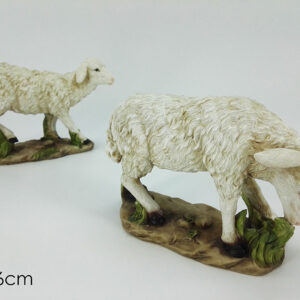 SHEEP 16 CMS 2 ASS 097844