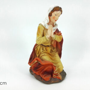 ST. MARY 23CMS 187774