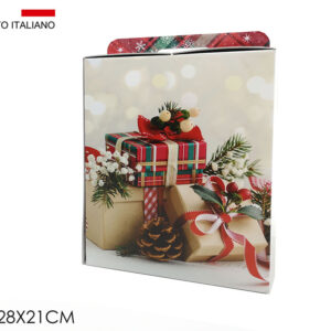 GIFT BOX WITH HANDLE ASS. 007812