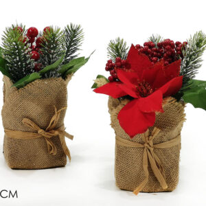 XMAS PLANT 20CMS 2 ASSORTED  345822