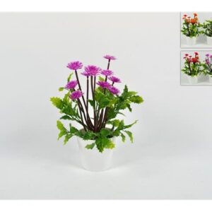 PLANT WITH FLOWERS 6 ASSORTED 362853