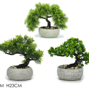 POT WITH BONSAI PLANT 3 ASSORTED 459215