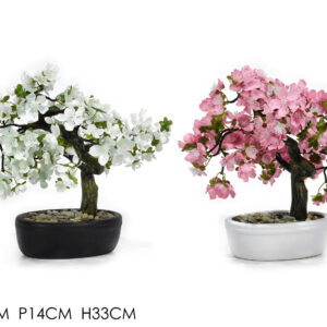 POT BONSAI CILIEGO 33CMS 2 ASS.  469368