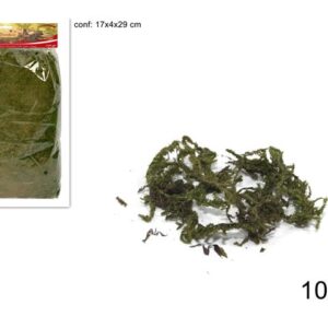 CRIB GRASS IN BAG 100GR 294136