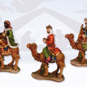 KING ON CAMEL 3 ASS 739461