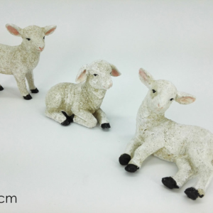 SHEEP THREE ASS 097707