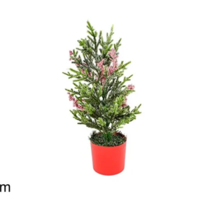 PLANT WITH SNOW 123745