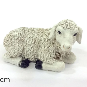 SHEEP  771966