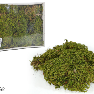 Box of Moss Matting, 350g