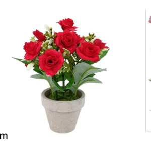 SMALL ROSE PLANT WITH POT, 23 CM, 4 COLORS, ASSORTED