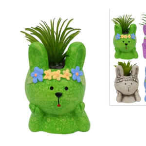 SUCCULENT PLANT WITH RABBIT FACE, 4 COLORS